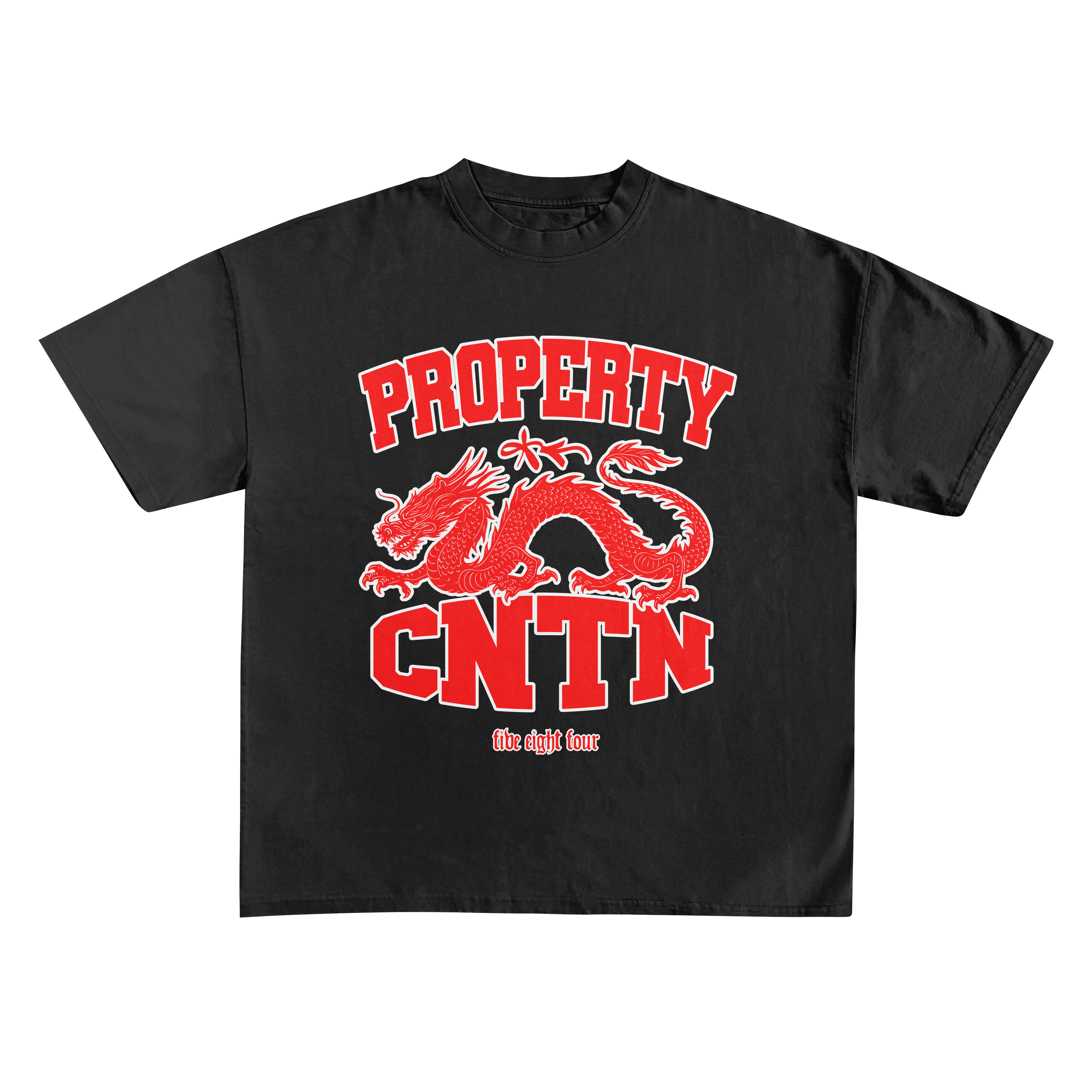 PROPERTY OF CNTN